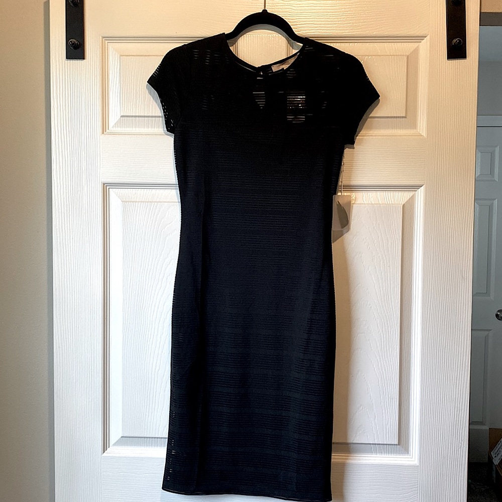 Black fitted shirt sleeve dress. Sheer striped lining.
